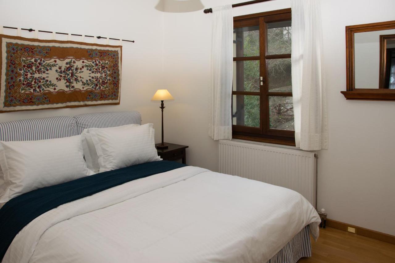 Θαλλώ Luxurious Villa Tsagarada Exteriér fotografie