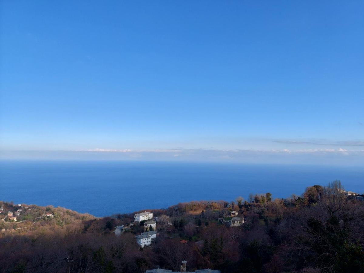 Θαλλώ Luxurious Villa Tsagarada Exteriér fotografie