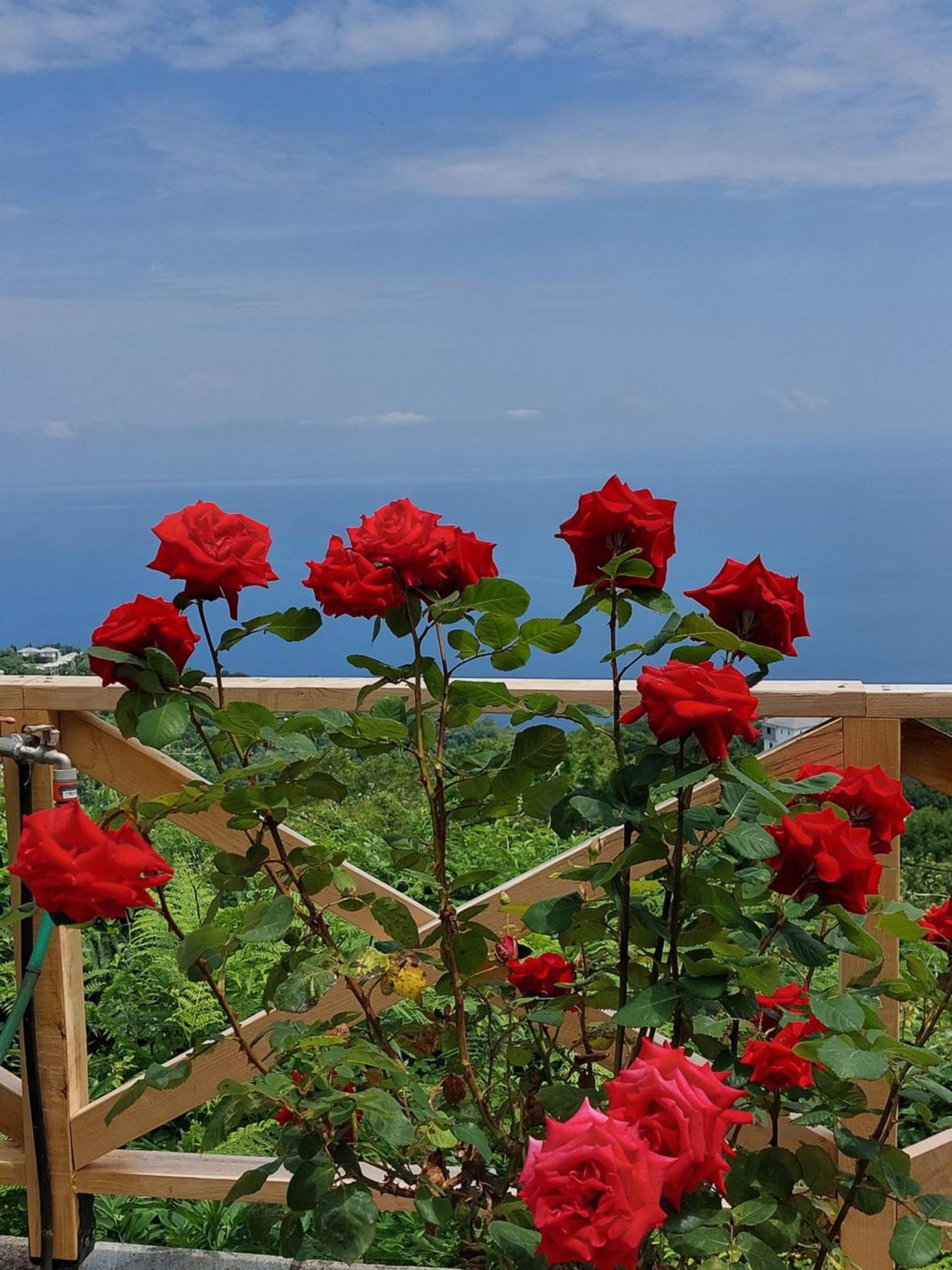 Θαλλώ Luxurious Villa Tsagarada Exteriér fotografie