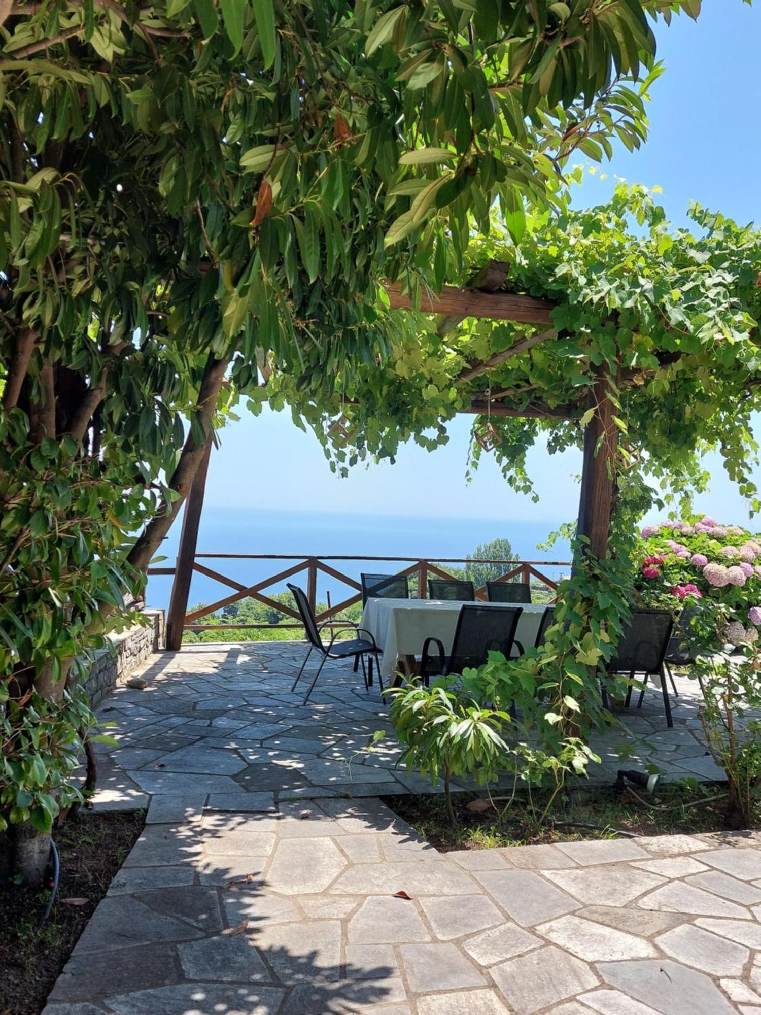 Θαλλώ Luxurious Villa Tsagarada Exteriér fotografie
