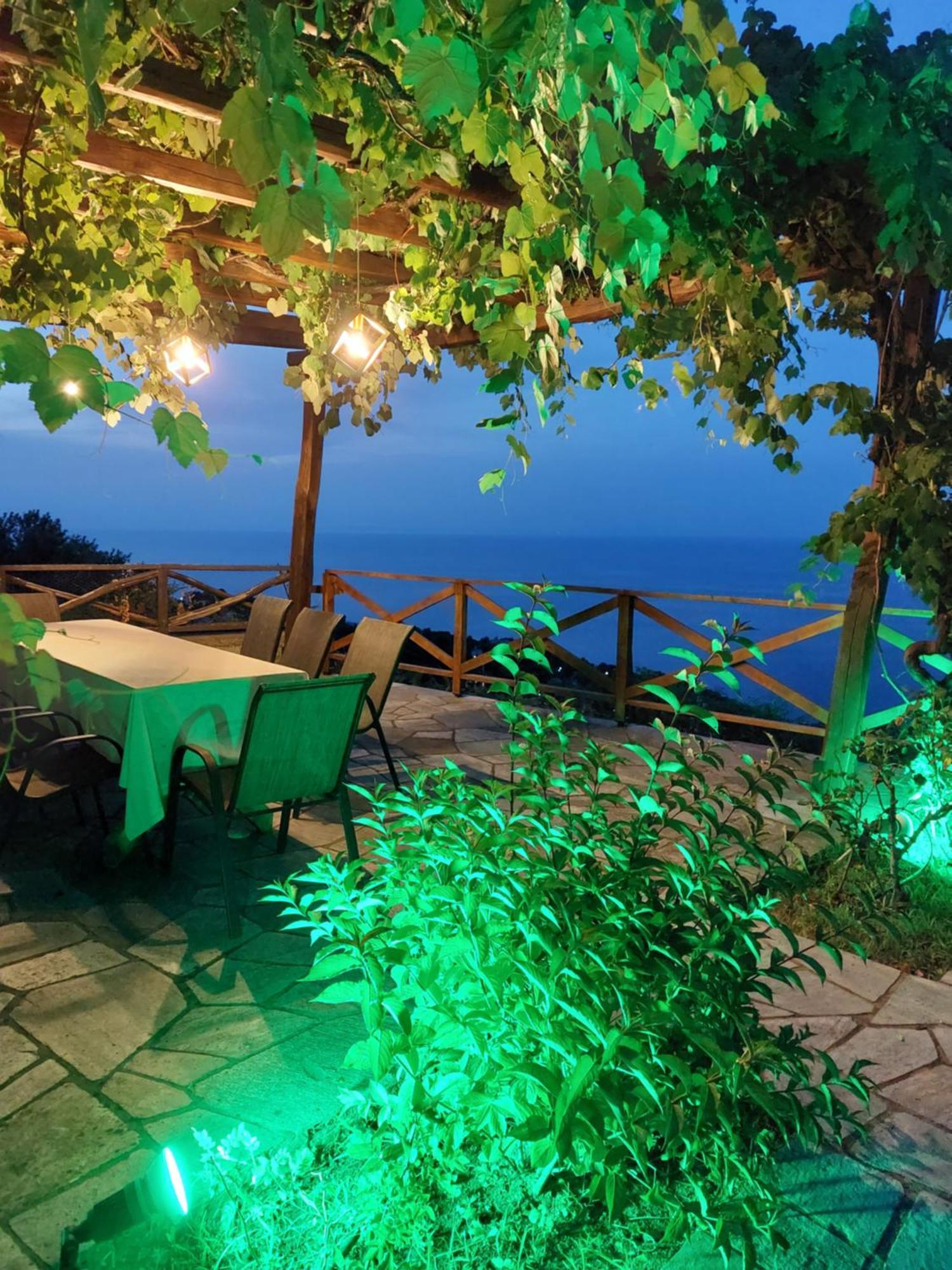 Θαλλώ Luxurious Villa Tsagarada Exteriér fotografie